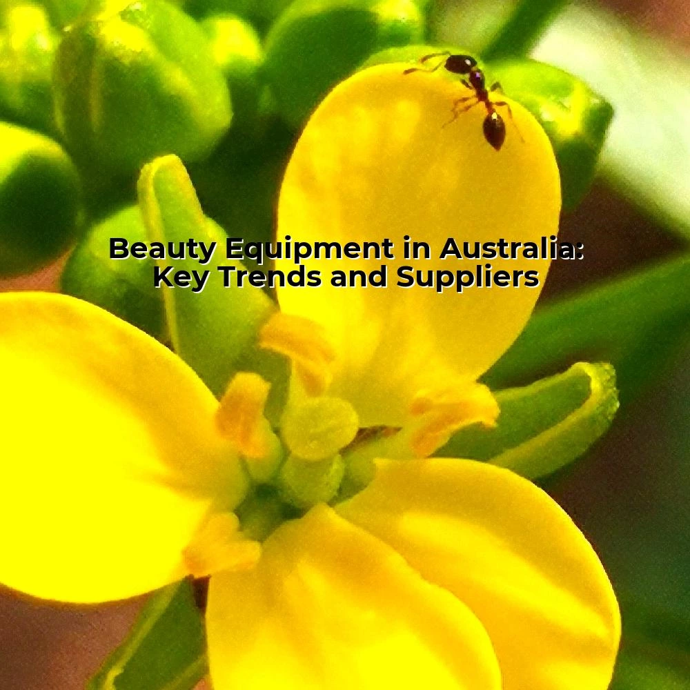 Beauty Equipment in Australia