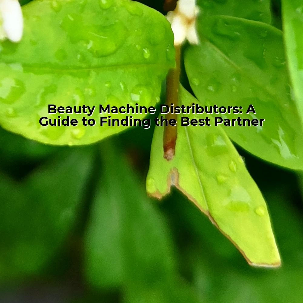 Beauty Machine Distributors