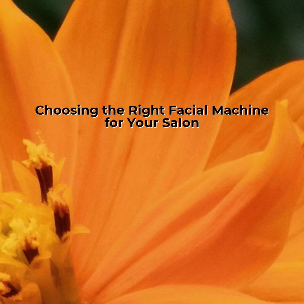 Choosing the Right Facial Machine for Your Salon