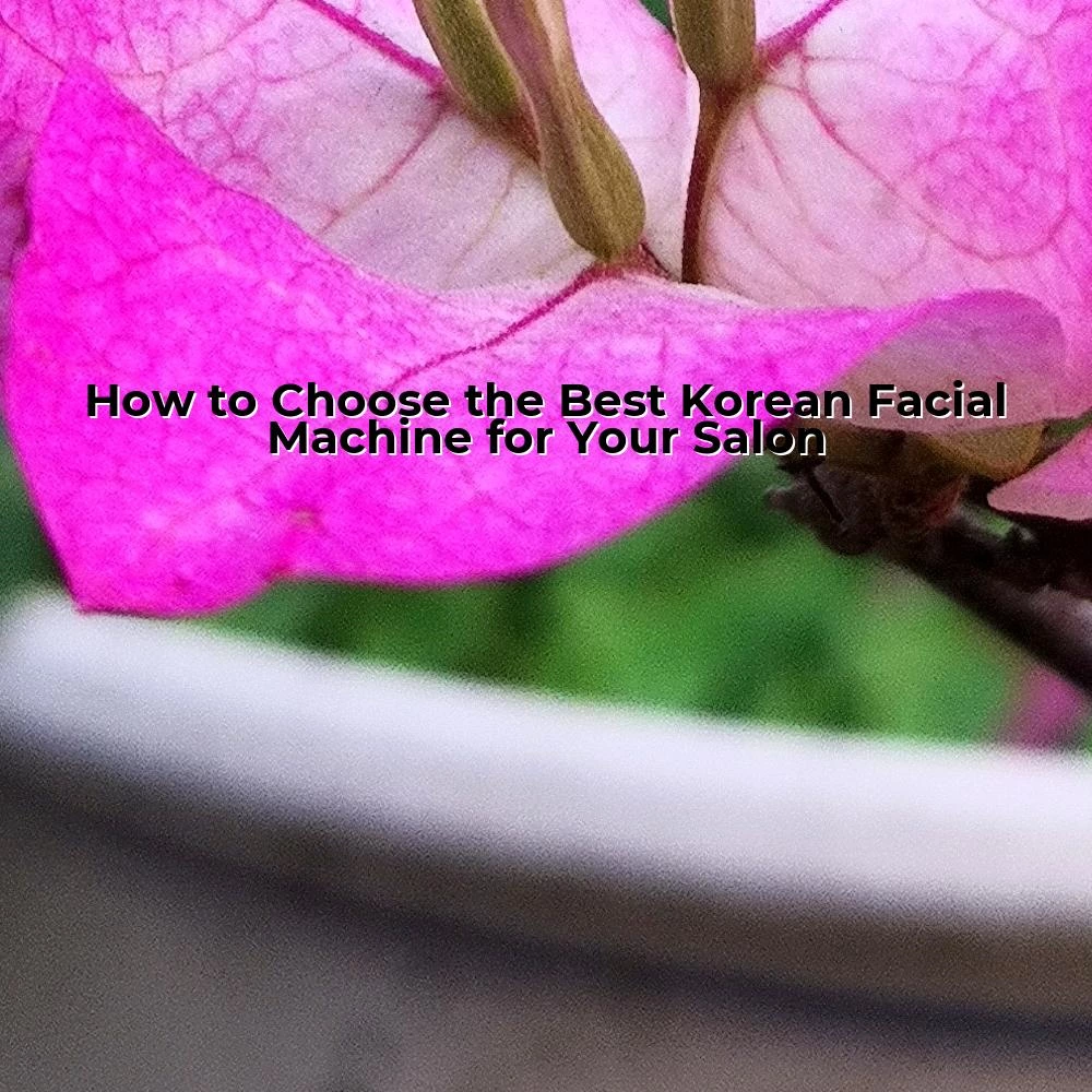 How to Choose the Best Korean Facial Machine for Your Salon