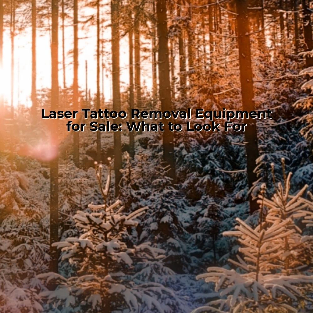 Laser Tattoo Removal Equipment for Sale