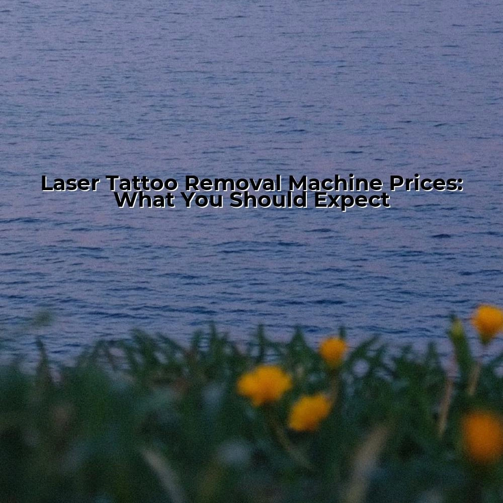 Laser Tattoo Removal Machine Prices