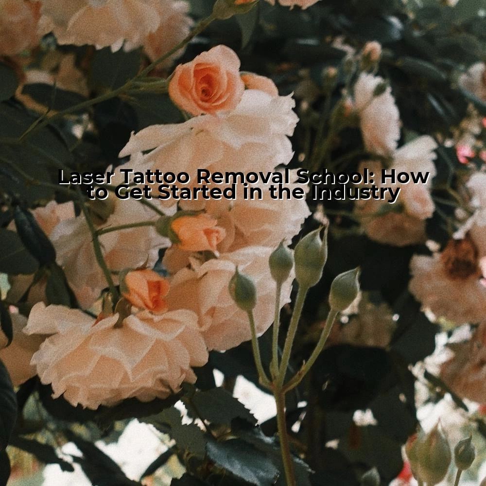 Laser Tattoo Removal School