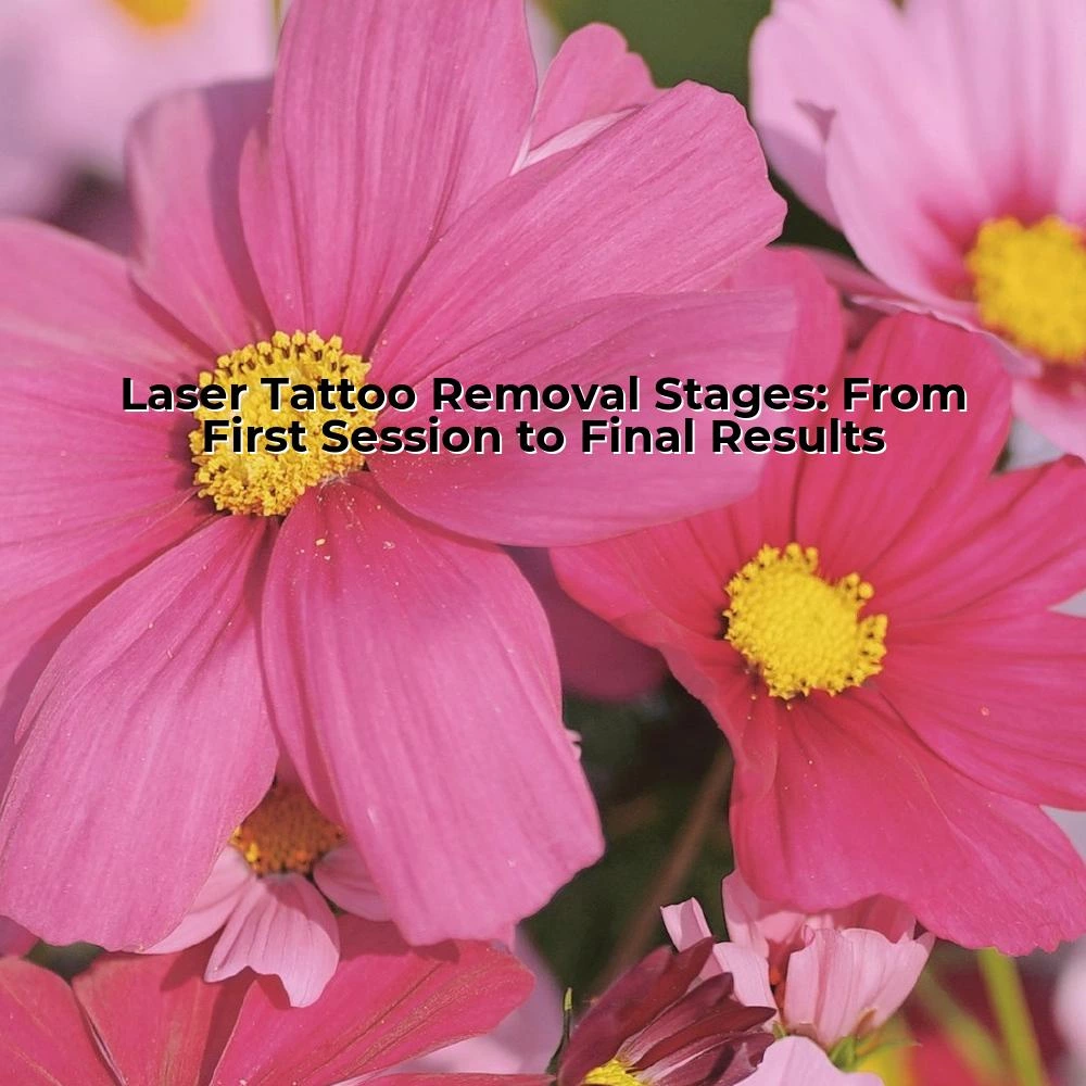 Laser Tattoo Removal Stages