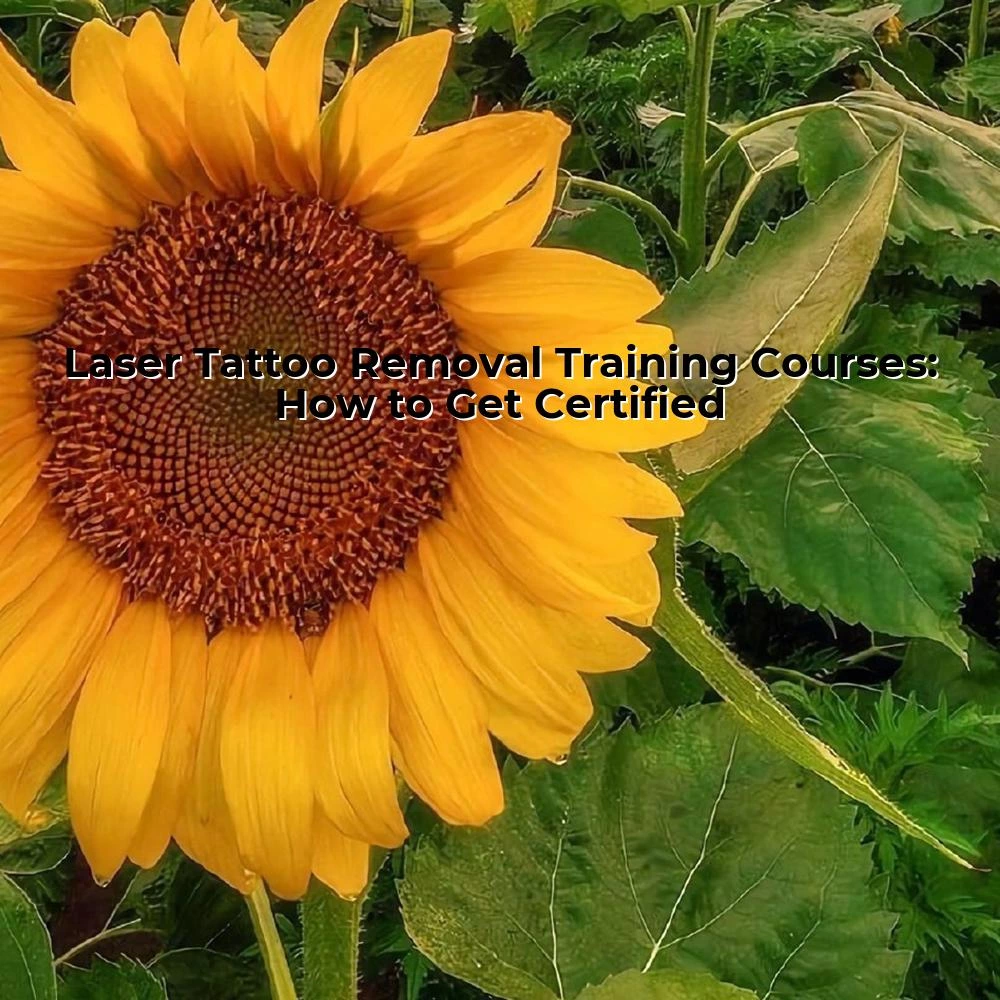 Laser Tattoo Removal Training Courses