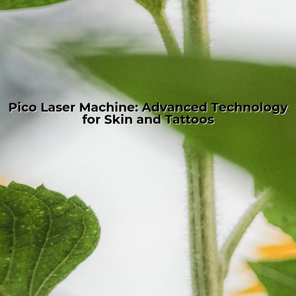 Pico Laser Machine