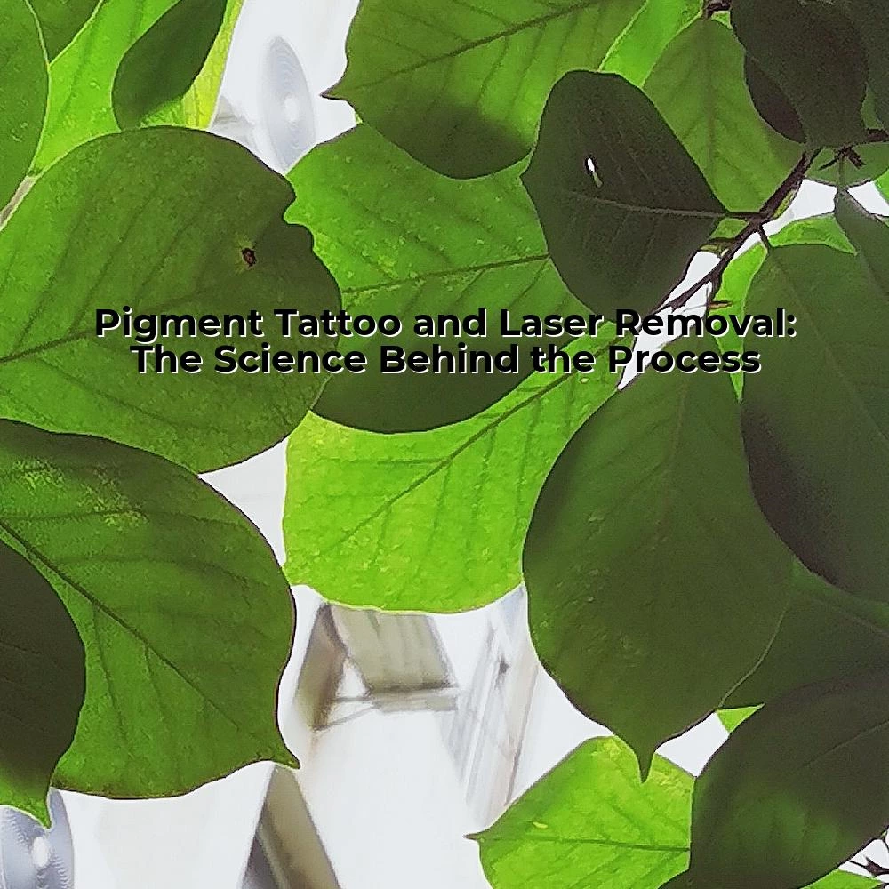 Pigment Tattoo and Laser Removal