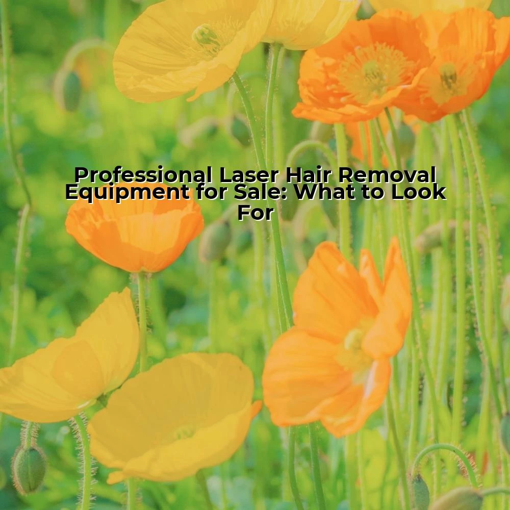 Professional Laser Hair Removal Equipment for Sale