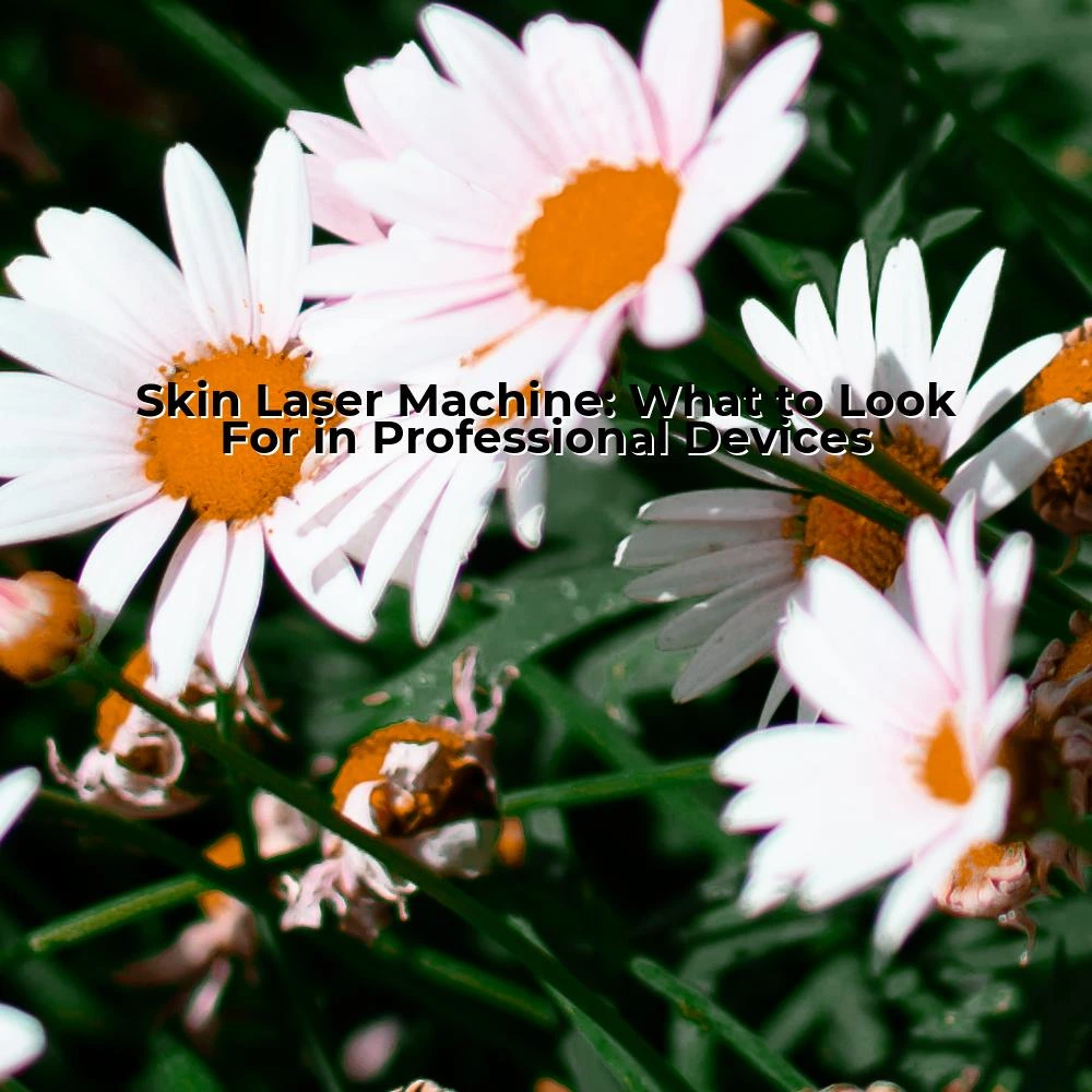 Skin Laser Machine