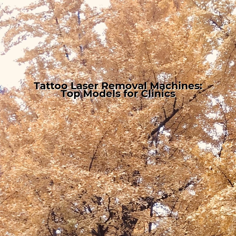 Tattoo Laser Removal Machines