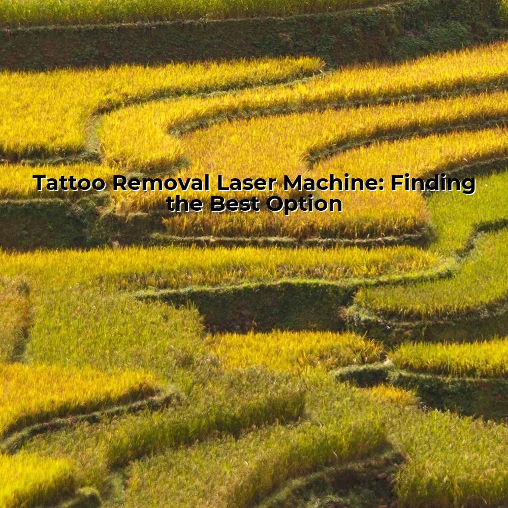 Tattoo Removal Laser Machine