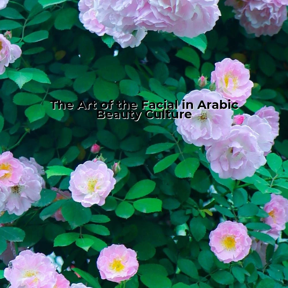 The Art of the Facial in Arabic Beauty Culture