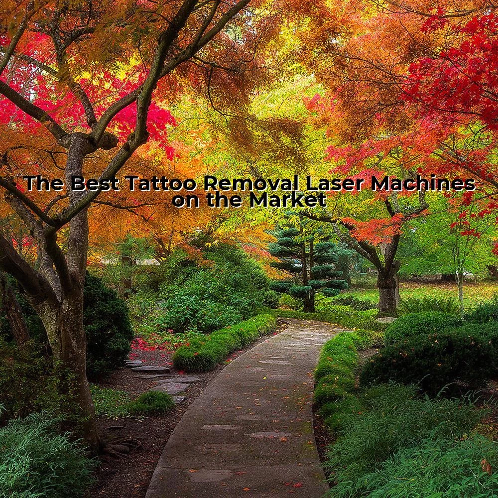 The Best Tattoo Removal Laser Machines on the Market