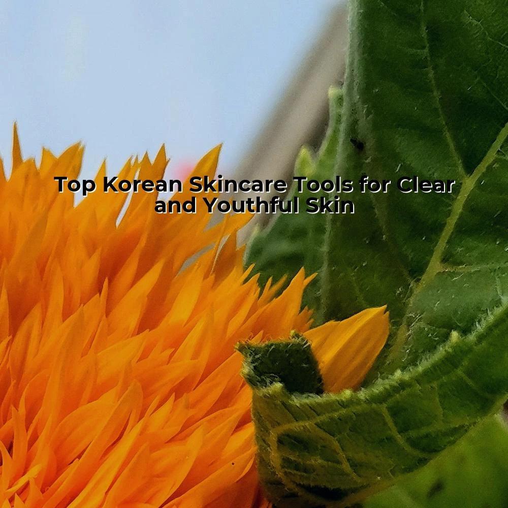 Top Korean Skincare Tools for Clear and Youthful Skin