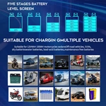 200W 12V/24V Smart Automatic Pulse Repair Battery Charger